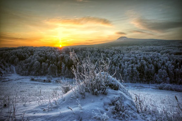 Sonnenaufgang in der sibirischen Taiga — Stockfoto