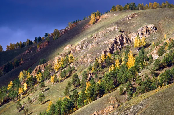Árvores de outono na encosta — Fotografia de Stock