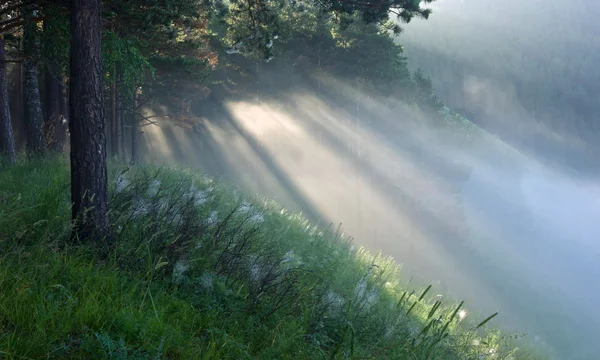 Die Strahlen der Sonne im Nebel — Stockfoto