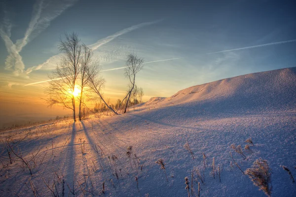 Soluppgång i vinter — Stockfoto