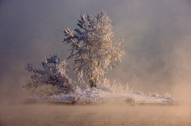 Sisin içinde bir ada