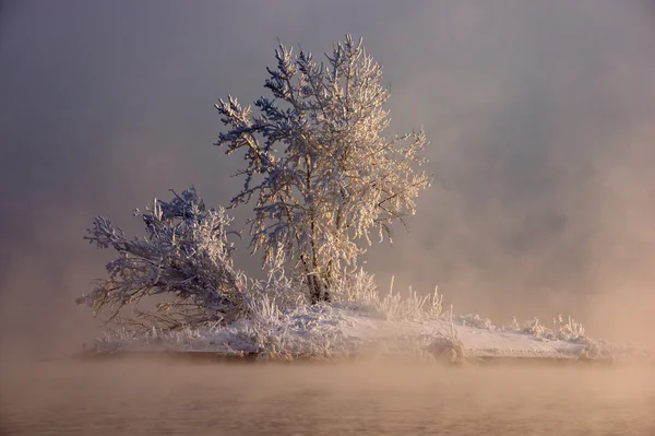 Sisin içinde bir ada