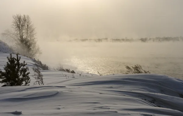 La hierba cubierta de nieve y los árboles en la orilla del río — Foto de Stock