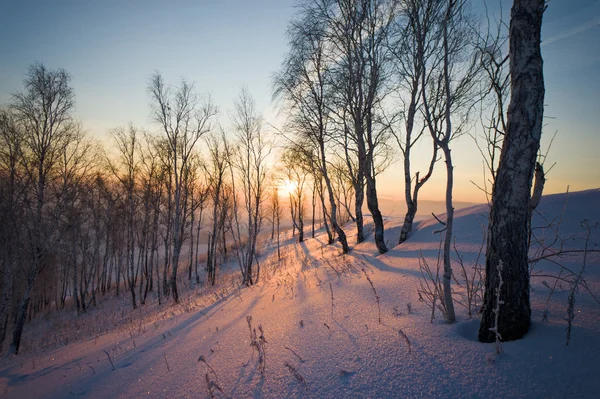 Salida del sol en invierno — Foto de Stock