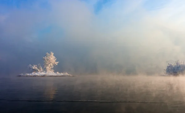 Eiland met bomen in het midden van het water, mist vallende — Stockfoto