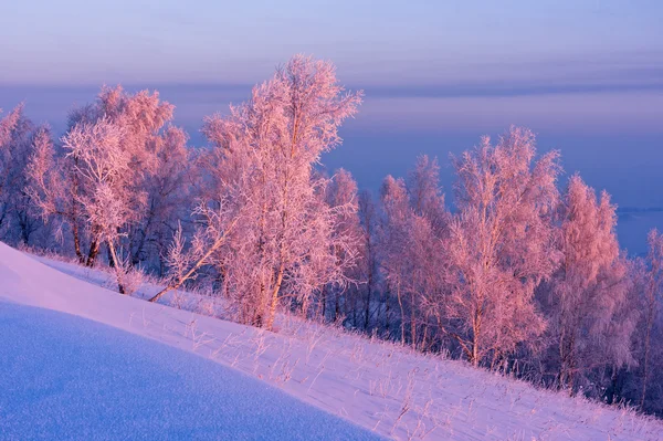 Soluppgång i vinter — Stockfoto