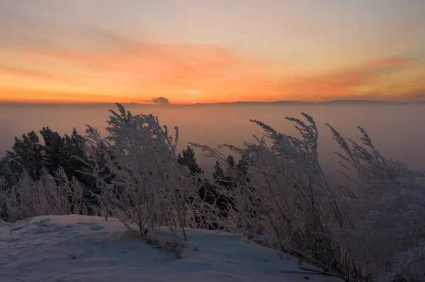 Lever de soleil sur le brouillard — Photo