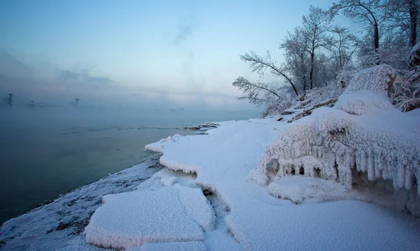 Das schneebedeckte Gras und die Bäume am Ufer des Flusses — Stockfoto