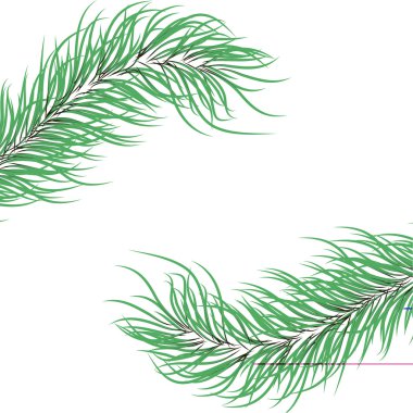 yeşil çam branches.vector illüstrasyon