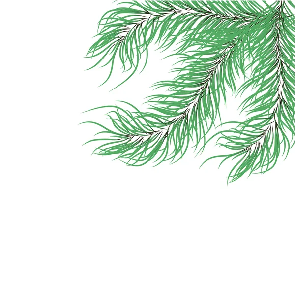 Branches.vector 図は緑のモミ — ストックベクタ