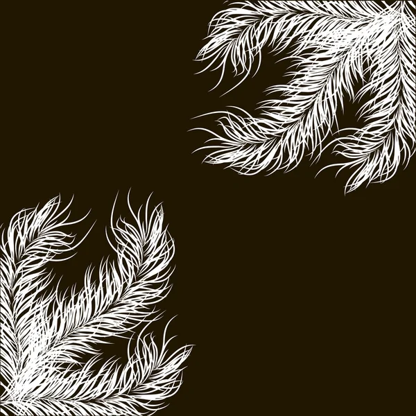 Hite köknar ağacı dalı .vector illüstrasyon