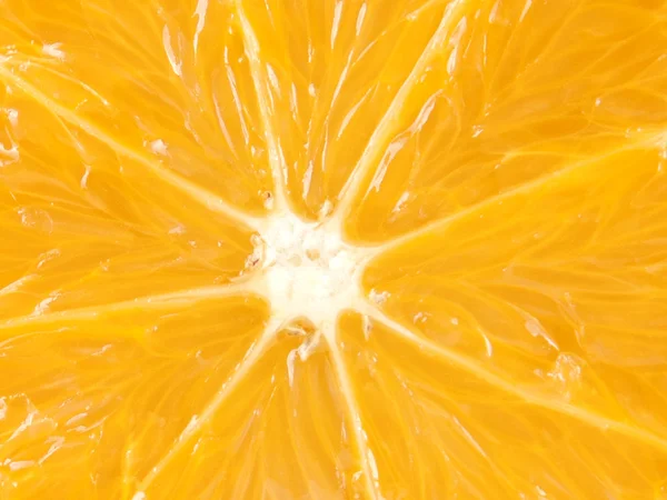 Fruit samenstelling van Oranje — Stockfoto