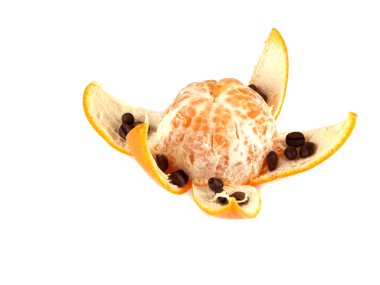 meyve kompozisyonu mandalina