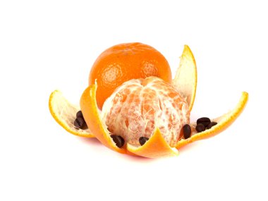 meyve kompozisyonu mandalina