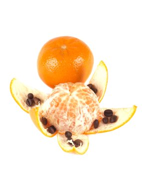 meyve kompozisyonu mandalina