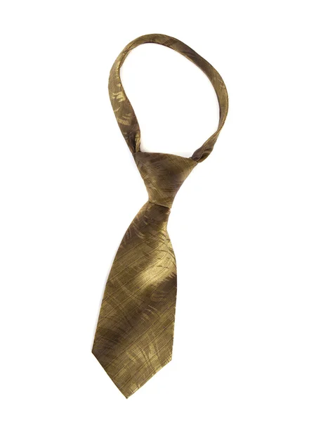 Giysi, yeşil kravat kompozisyon