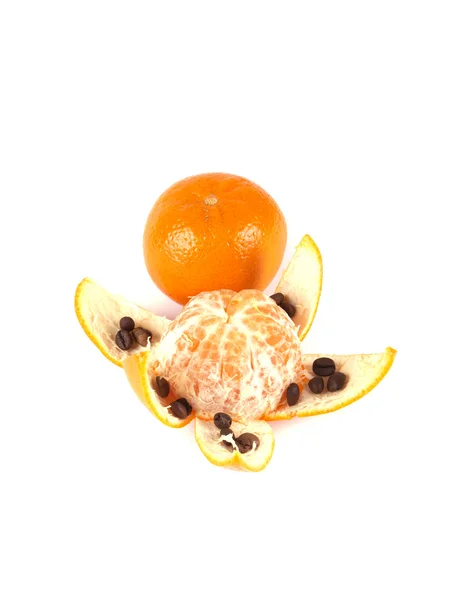 Composition en fruits de la mandarine — Photo