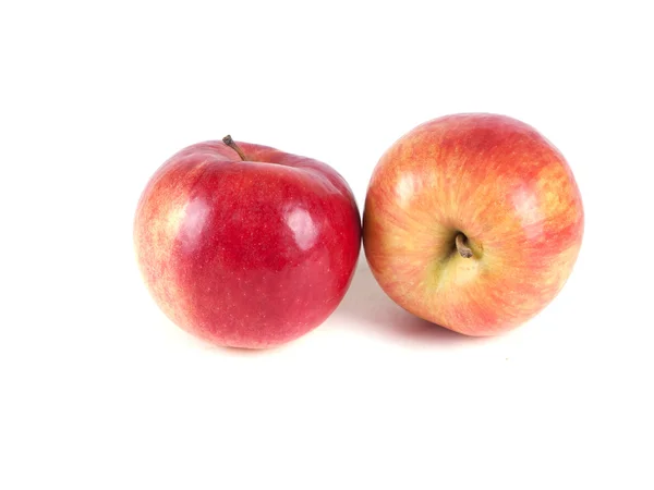 Fruit composition of two red apples — Stock Photo, Image