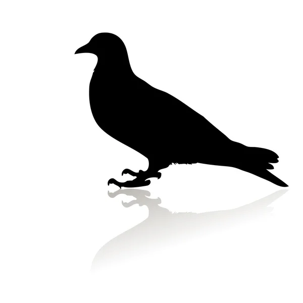 bird.vector çizim silueti