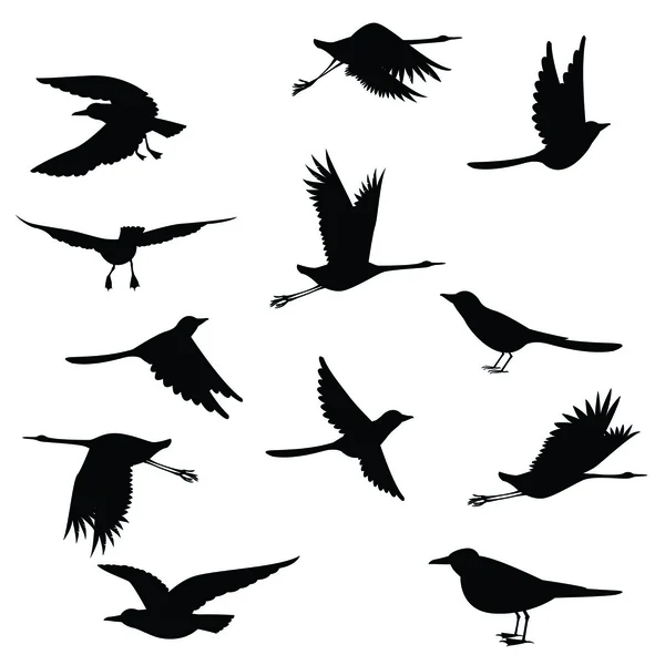 siluetleri birds.vector illüstrasyon
