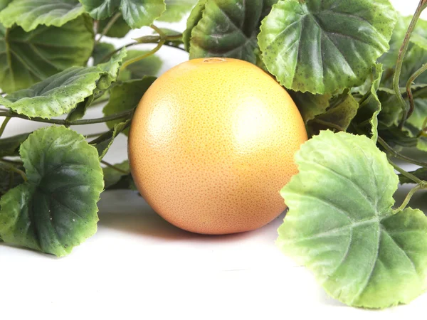 Fruit composition of ripe grapefruit — Stock Photo, Image