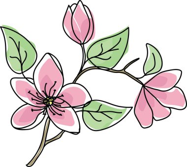 Yapraklı izole manolya çiçeği dalı