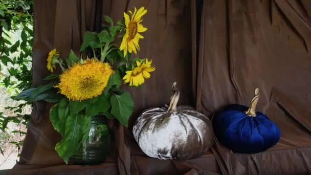 Осіння композиція з пошитими фаршированими оксамитовими гарбузами та букетом соняшників — стокове відео