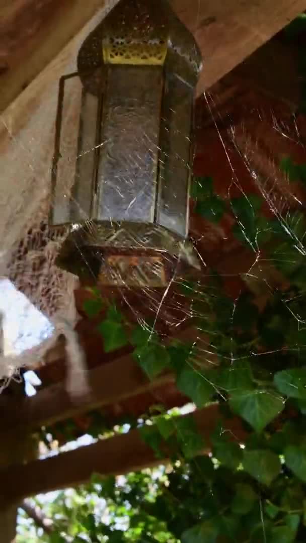 Linterna árabe vintage colgando al aire libre detrás de tela de araña bajo el techo — Vídeo de stock