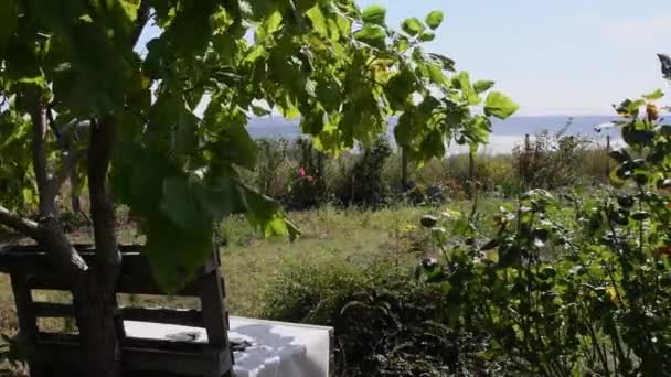 Κήπος Τοπίο Πάγκο Από Χρησιμοποιημένη Ξύλινη Παλέτα Κάτω Από Πλούσια — Αρχείο Βίντεο