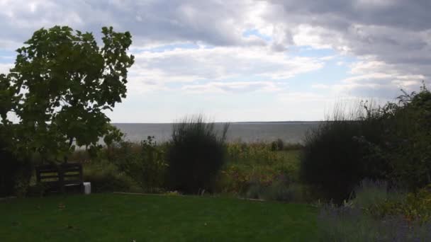 绿树下长椅的园林景观在风中摇曳 — 图库视频影像