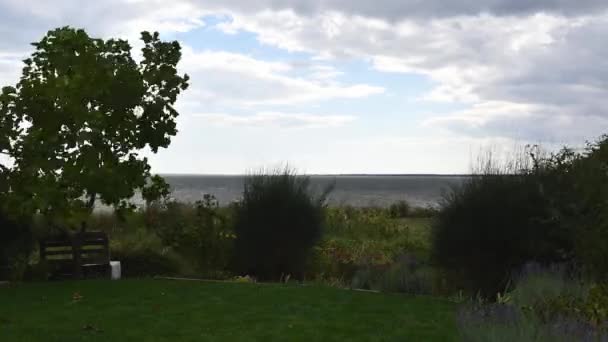 Tijdsverloop landschap van de tuin met bank onder paulownia boom schudden in de wind — Stockvideo