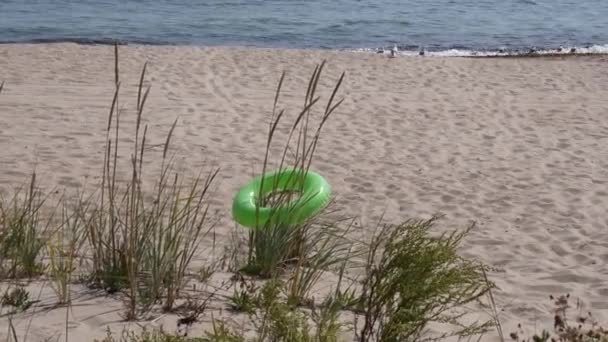 Paisaje marino tranquilo con anillo de natación perdido y gaviotas en la arena de playa costera — Vídeo de stock