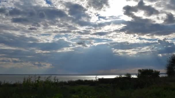 Time lapse landscape of shore with bushes and plants shaking in wind and sunbeams breaking through grey clouds — Stock Video