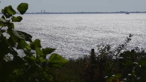 Defocused tree foliage shaking in wind and shiny rippled water surface — Stockvideo