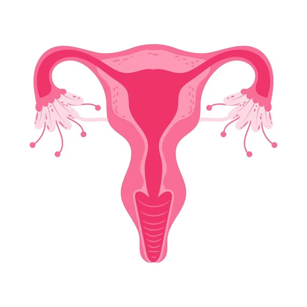 Santé des femmes utérus Floral Système reproducteur ovaire Concept — Image vectorielle