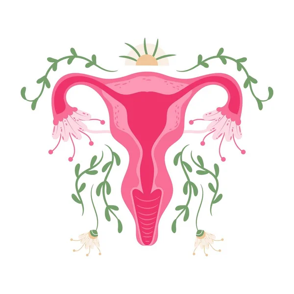 Saúde da mulher Útero Floral Ovário sistema reprodutivo Conceito —  Vetores de Stock