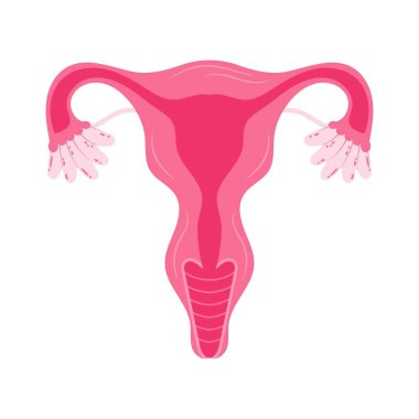 Women health Uterus Floral Ovary reproductive system Concept.