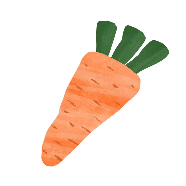 Cenoura Verde Fresco Mão Desenhada Vegetal Orgânico Saudável Dieta Comida —  Vetores de Stock
