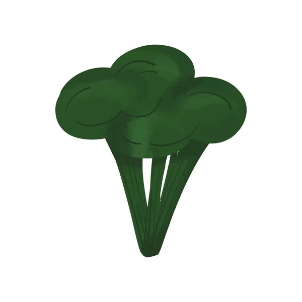 Col Brócoli Verde Tallo Como Nutrición Saludable Vector Dibujado Mano — Vector de stock