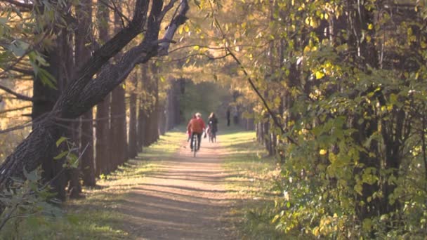 Dlouhý záběr cyklista cestu formální zahrady (smíšené ostatní - den) — Stock video