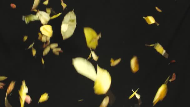 Middellange shot van Alpha herfst achtergrond (static - kunstmatige) — Stockvideo