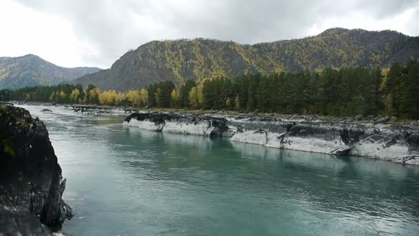 Altai floden ren — Stockvideo