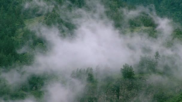 Fog in mountains. Nature background — Stock Video