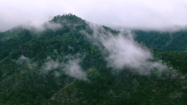 Ομίχλη στα βουνά. φύση φόντο — Αρχείο Βίντεο
