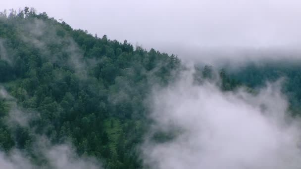 Fog in mountains. Nature background — Stock Video