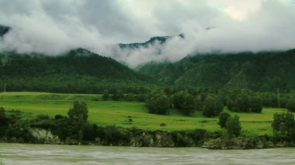 Foggy morning in mountains. Nature seamless loop background — Stock Video