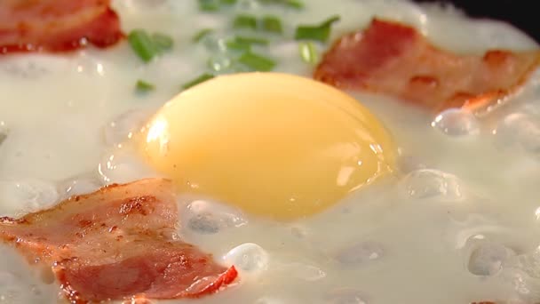 Close-up of bacon egg fry — Stock Video