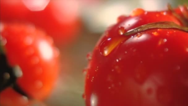 Primer plano de ensalada de tomate con cuchillo de cocina — Vídeos de Stock