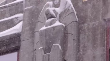 Kar yağışı New York sokakları orta çekim (pan - gün)