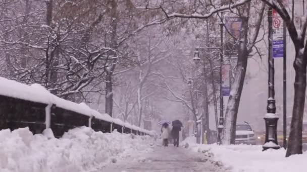 Снег в Центральном парке Нью-Йорка — стоковое видео